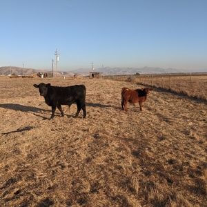 Meet your Posher, Mathew